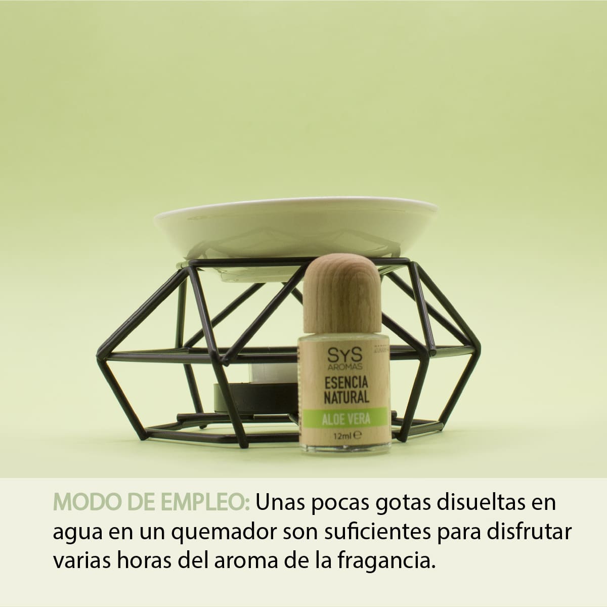 Esencia Aromática Aloe Vera 12 ml | Aroma Fresco y Natural | Perfume Concentrado | Uso en Difusores_2