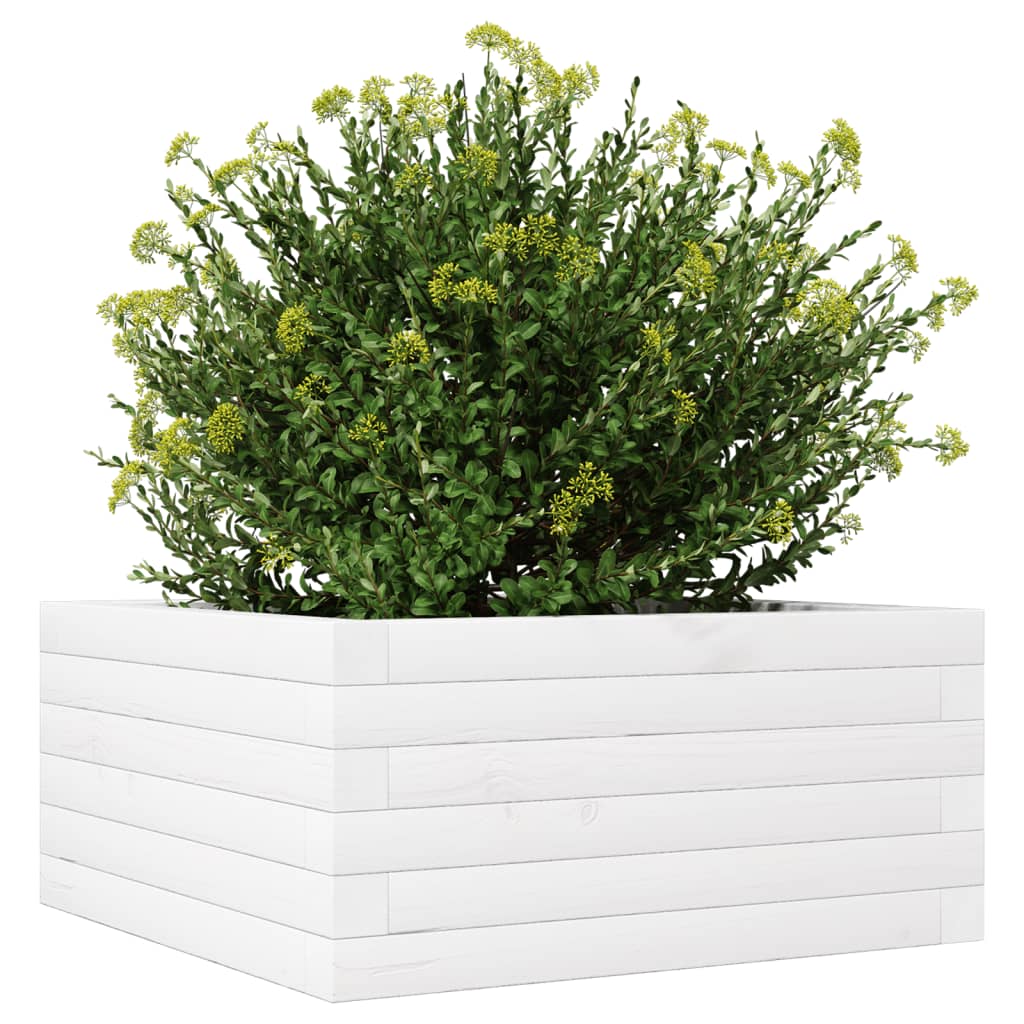 Jardinera De Madera Maciza De Pino Blanco 50x50x23 Cm_3