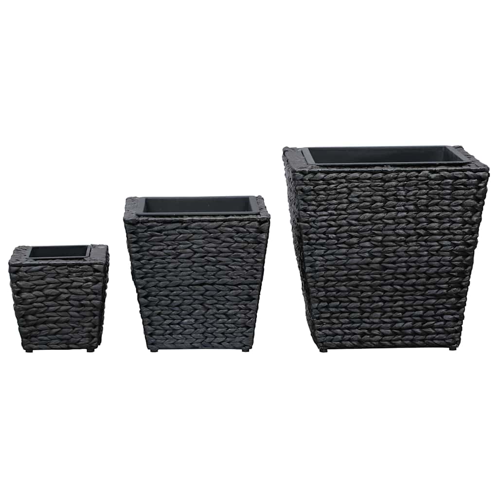 Conjunto De Arriates 3 Piezas Jacinto De Agua Negro_2
