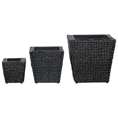 Conjunto De Arriates 3 Piezas Jacinto De Agua Negro_2