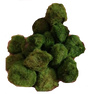 Lote De 10 Bolas De Musgo Marimo Cladophora 2-3 Cm