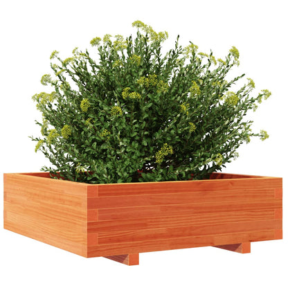 Jardinera De Madera Maciza De Pino Marrón Cera 80x80x26,5 Cm_3