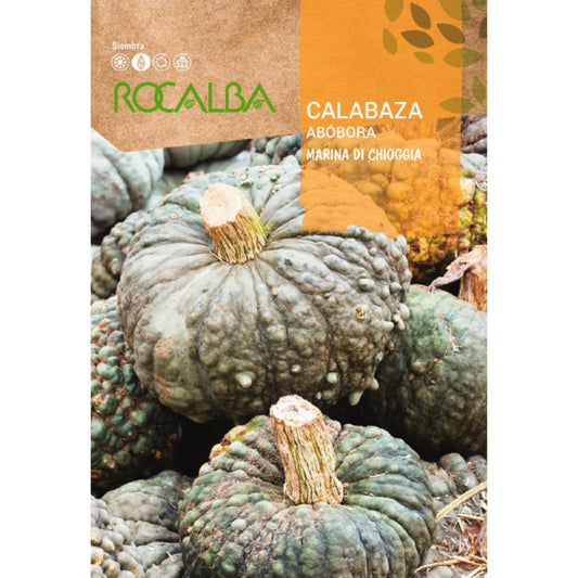 Sementes de abóbora marinha Chioggia