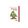 Guia de bonsai de ficus
