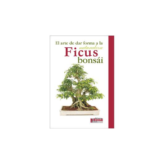 Guia de bonsai de ficus