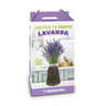 Kit de cultivo interior de lavanda