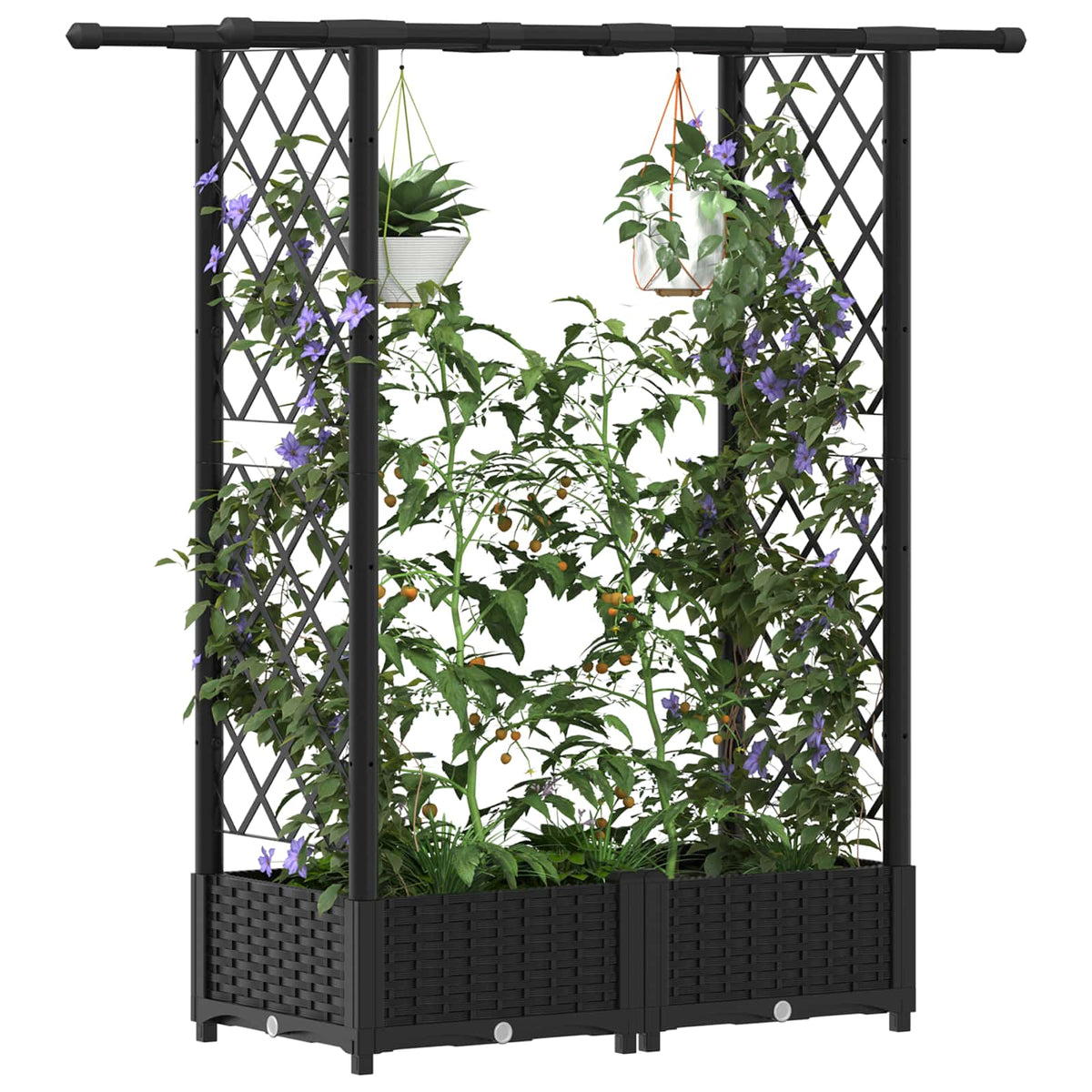 Cama Elevada Con Trellis Y Techo Negro 122,5 X 40 X 121 Cm Pp_2