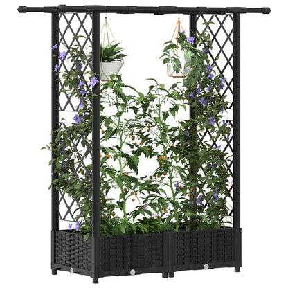 Cama Elevada Con Trellis Y Techo Negro 122,5 X 40 X 121 Cm Pp_2
