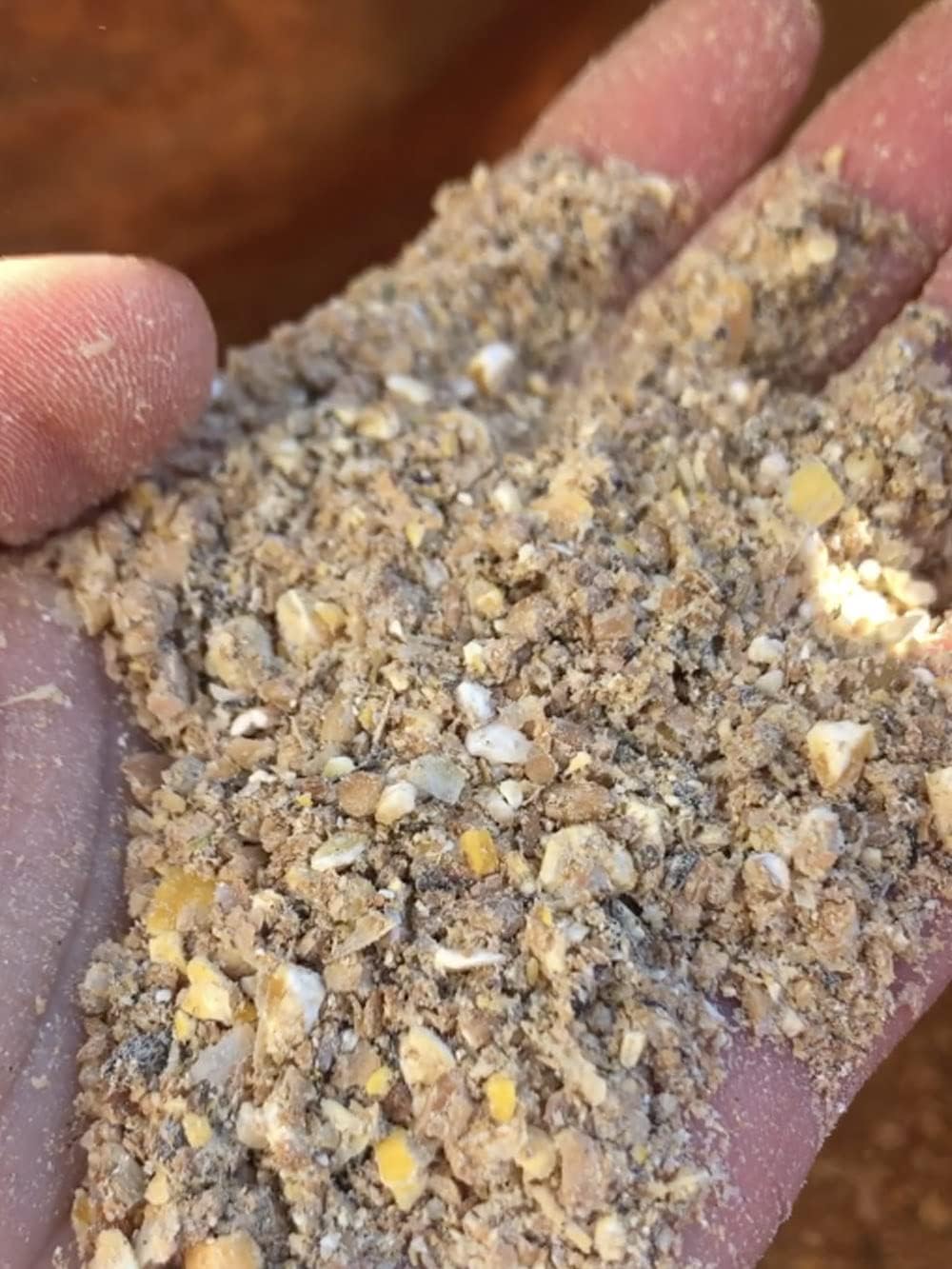 Pienso Gallinas Ponedoras ECOLÓGICO 20 kg – Alimentación Natural y Equilibrada para Producción de Huevos_2