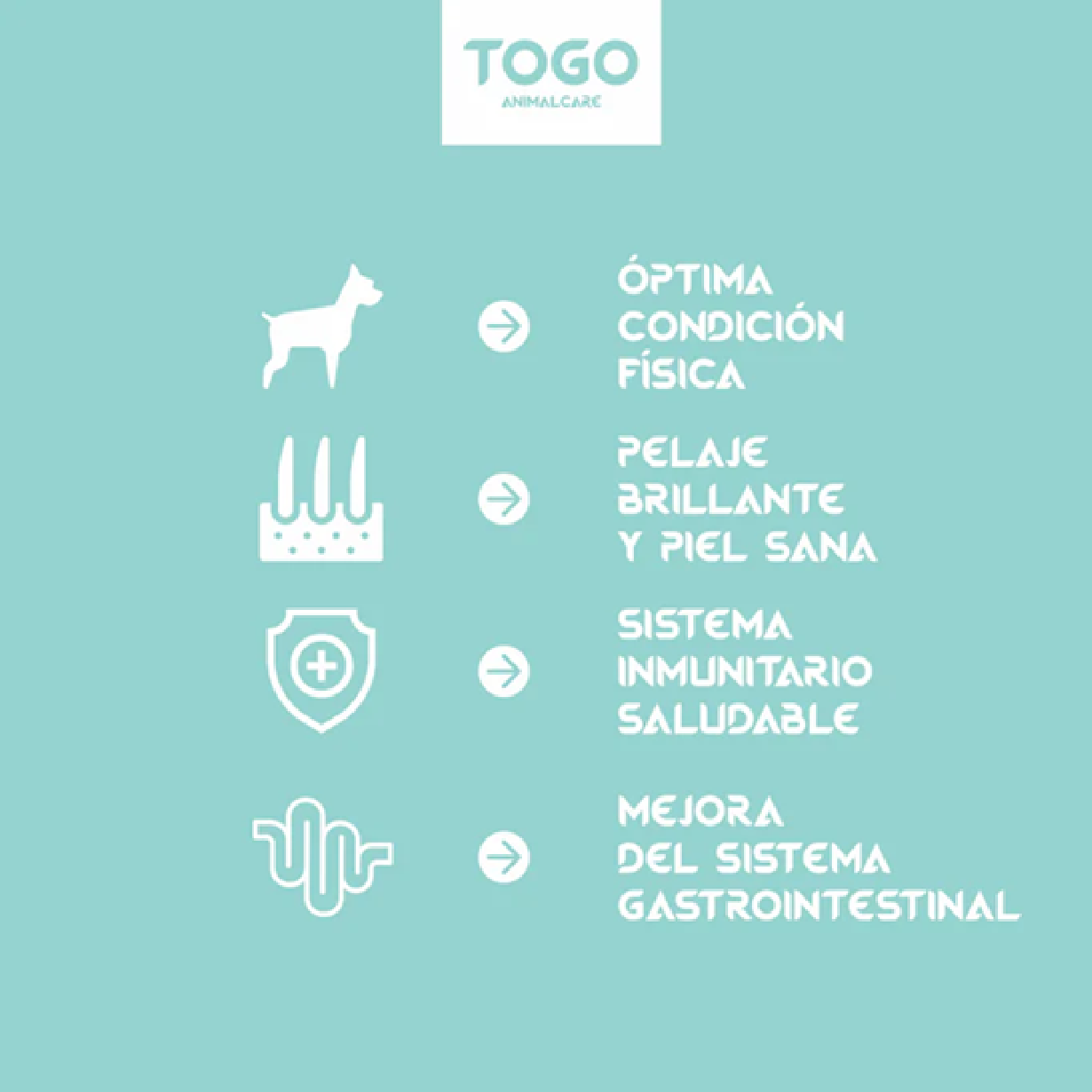 Pienso Bioprotein | Hipoalergénico Y Sin Cereales 4KG_3