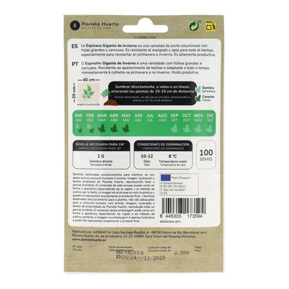 Sementes de espinafre gigante de inverno biológicas Planeta Huerto