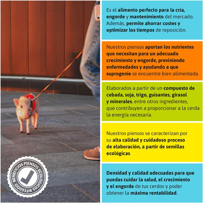 Pienso ECOLÓGICO para Cerdos Mascota 20 kg – Comida Natural y Saludable para Cerdos Nutrición Equilibrada_2