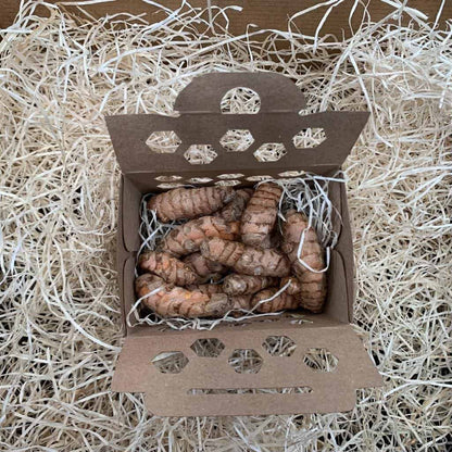Cesta Vitamina De  La Huerta De Pancha 4 Kg_2