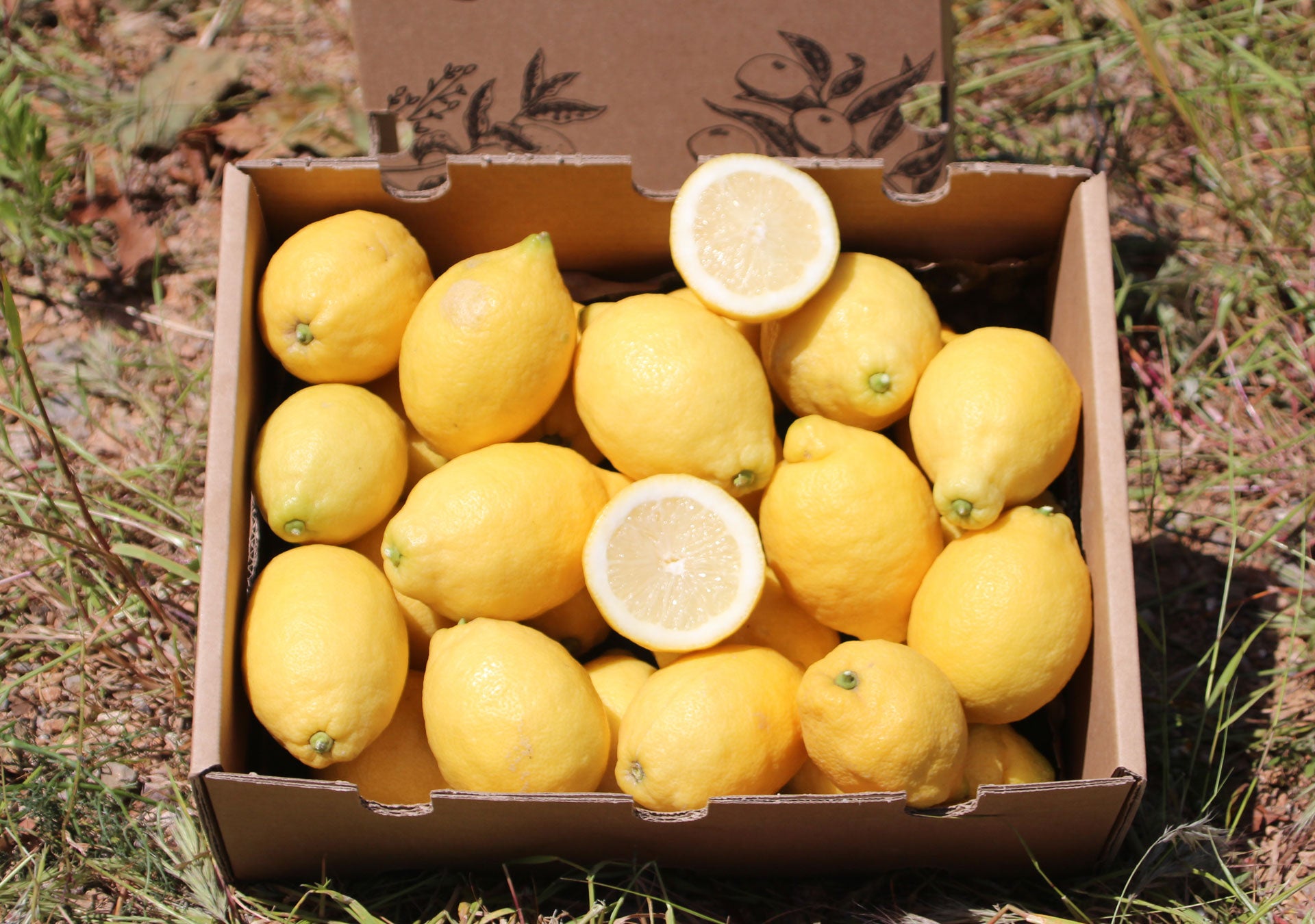 Limones De Temporada Directos Del Árbol Tropitop 4kg_3