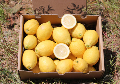 Limones De Temporada Directos Del Árbol Tropitop 4kg_3
