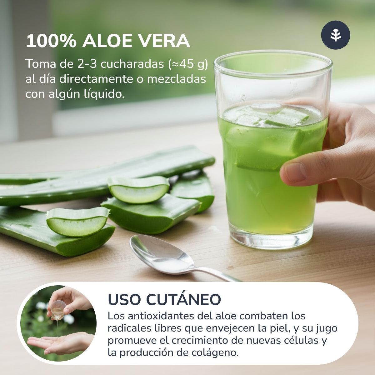 Sumo de Aloé Vera Planeta Huerto 1 L.