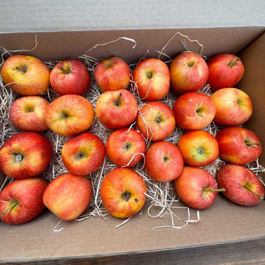 Caja Manzanas Rojas Royal Gala 4,5 KG_0