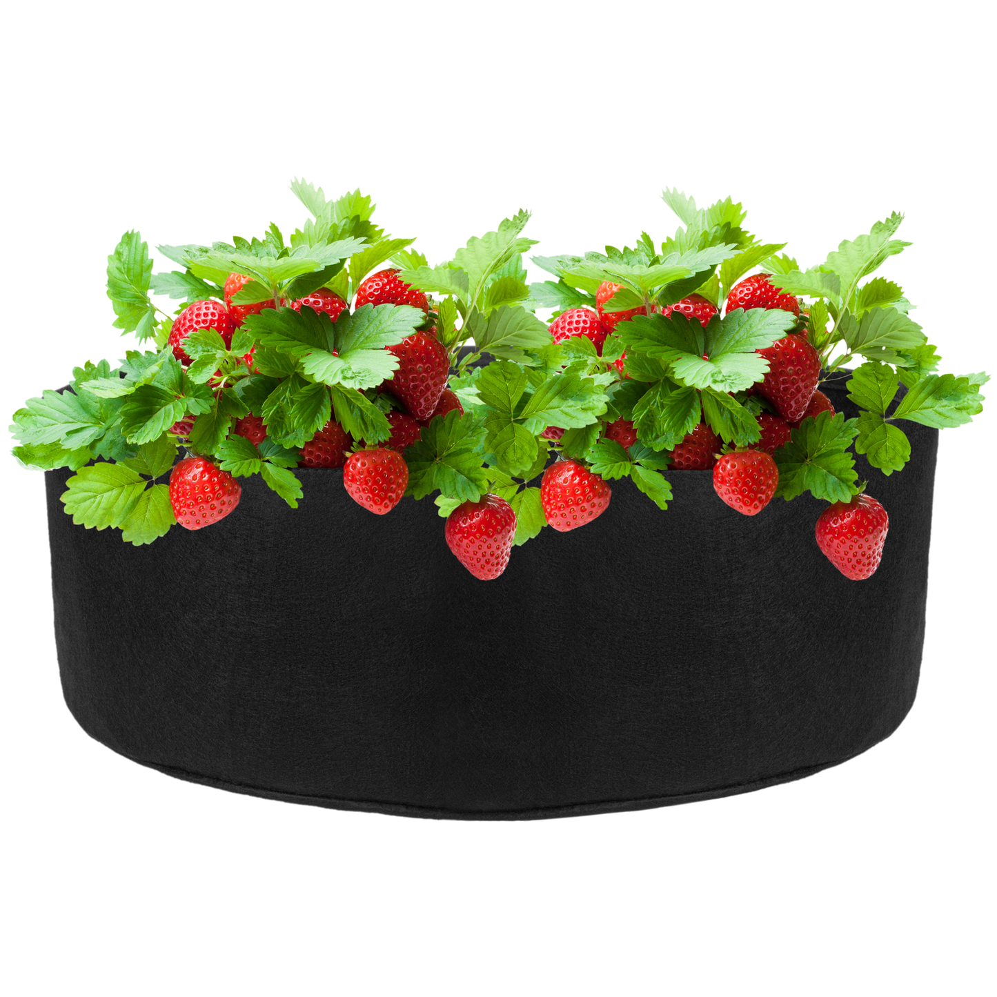 Bolsa De Cultivo Y Crecimiento De Plantas 76x26cm 4 Unidades_2