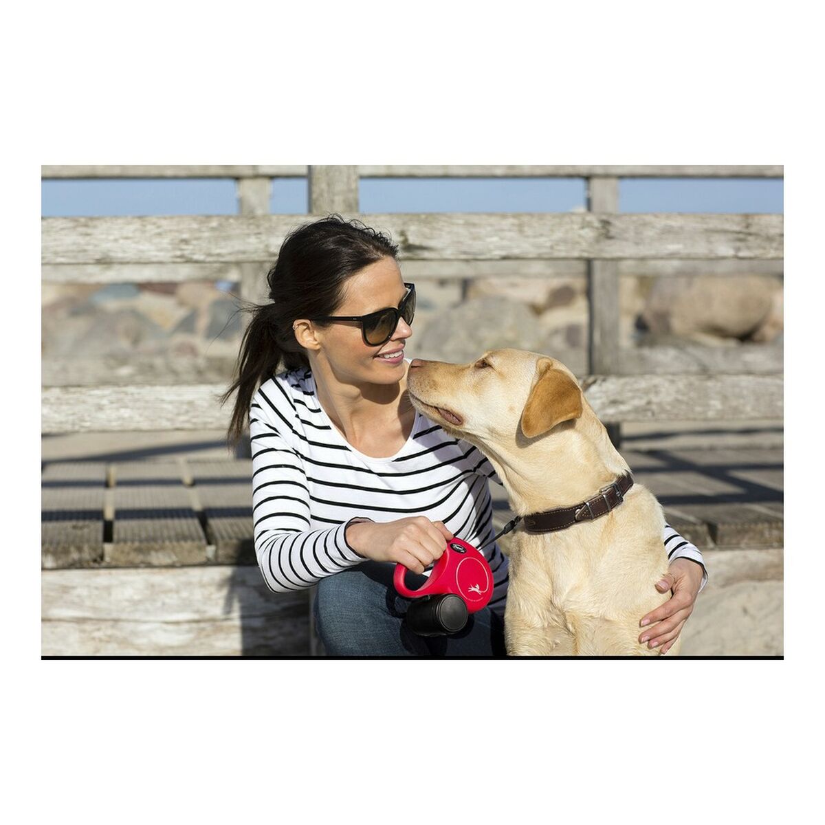 Correa Flexible Para Perros_0