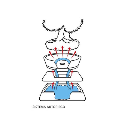 Sistema de auto-irrigação para bonsai 15 cm