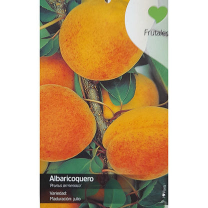 Árbol Frutal Albaricoquero Currot M22 140-150cm_1