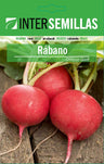 Pacote De Sementes De Rabanete Gigante Carmesim