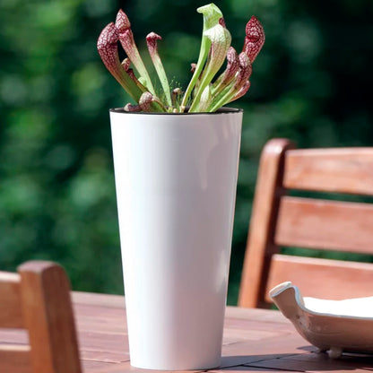 Maceta Brillo Tubus Slim 3,3l., Dimensiones (mm) 150x150x286, Color Blanco_4