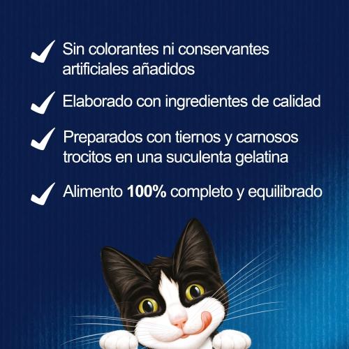Gelatina FELIX Fantastic Junior 4 x 85 g