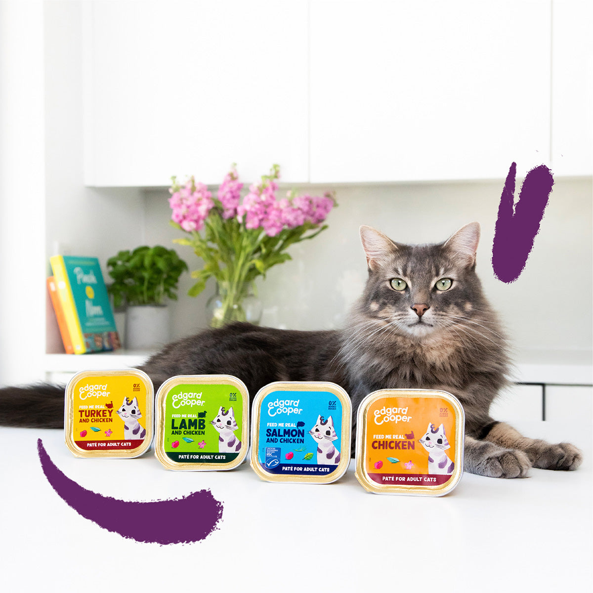 Ração húmida para gatos Patê Salmão e Frango Tub Edgard &amp; Cooper 85 g