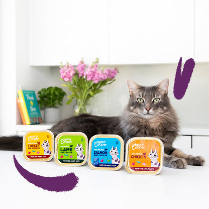 Ração húmida para gatos Patê Salmão e Frango Tub Edgard &amp; Cooper 85 g