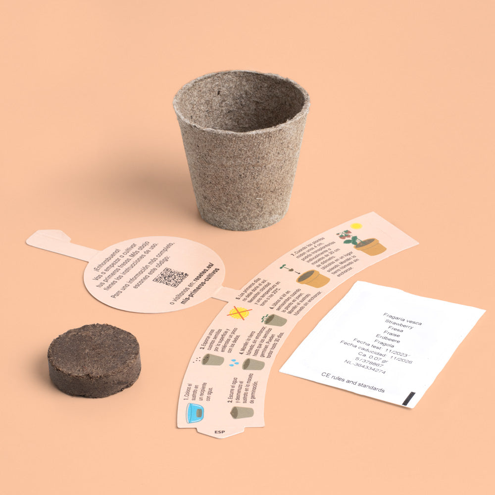 Mi Primer Cultivo de Fresa – Kit Educativo STEM para Cultivar Fresas en Casa, Niños - Resetea_1