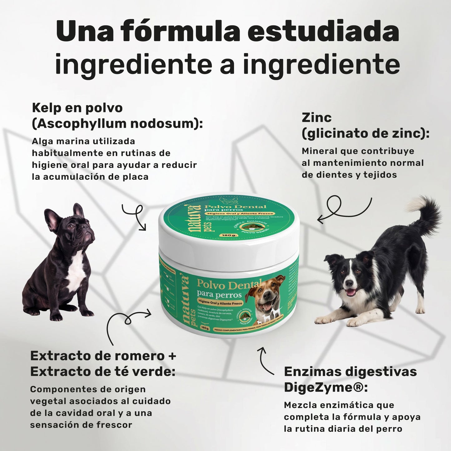 Pack Polvo Dental + Probiótico Para Perros. Suplementos Mascotas. 180 G Y 120 Masticables. Natuva Pets_2