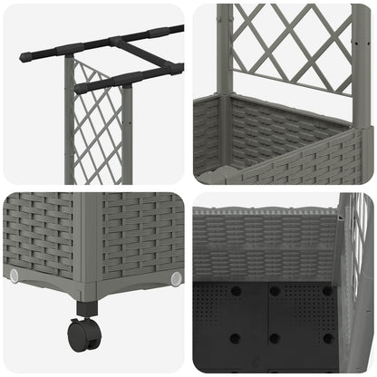 Cama Elevada Con Trellis Y Techo Gris Claro 124,5 X 40 X 142 Cm_5
