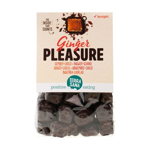 Delícia de Gengibre 150 g Terrasana