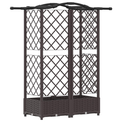Cama Elevada Con Trellis Y Techo Marrón 124 X 40 X 123 Cm Pp_4