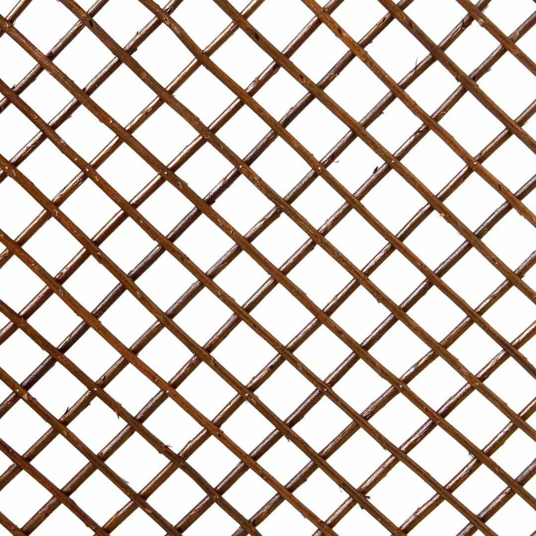 Celosia Mimbre Extensible 1 X 2 M Nortene_2
