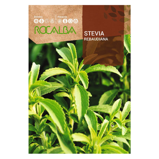 Sementes de Stevia rebaudiana, Rocalba
