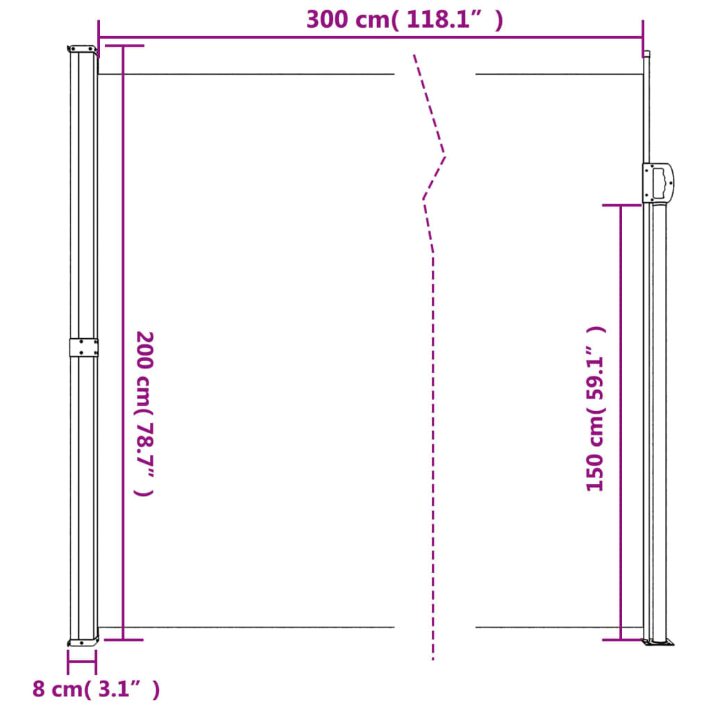 Vidaxl Toldo Lateral Retráctil Azul 200x300 Cm_2