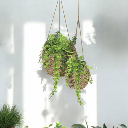 Well Home Juego De 2 Cestas Maceteros De Fibra Natural Ø17ø24cm_4