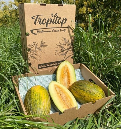 Caja De Melón Piel De Sapo Tropitop Caja De 2 Unidades (aprox. 7kg )_1