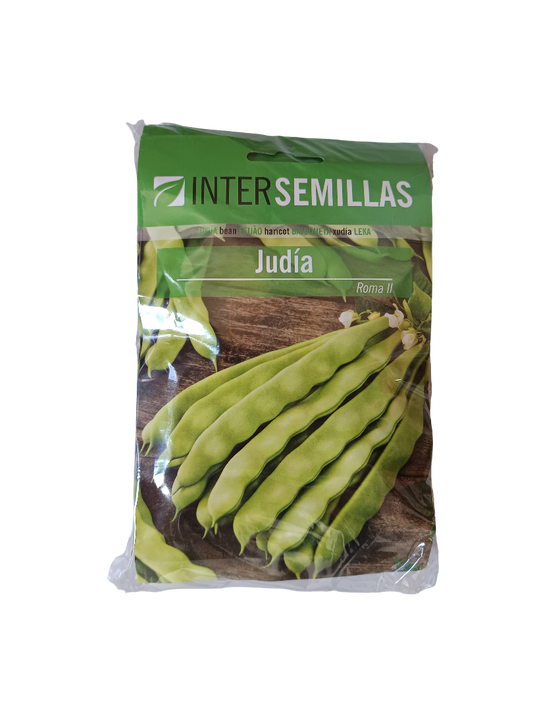Semillas De Judia Roma Ii_0