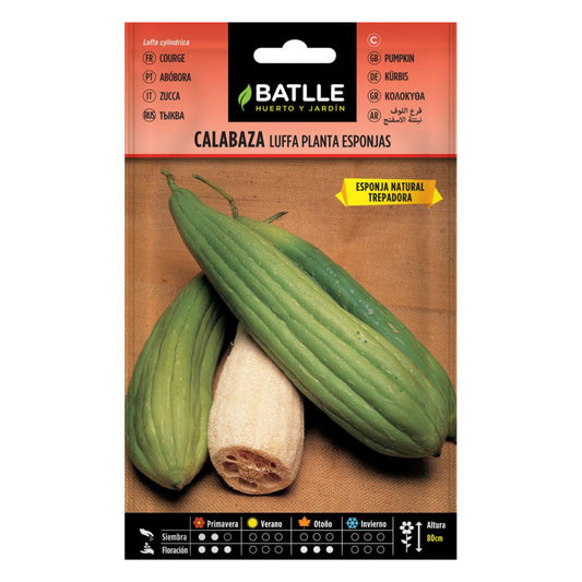 Sementes de abóbora Luffa Batlle