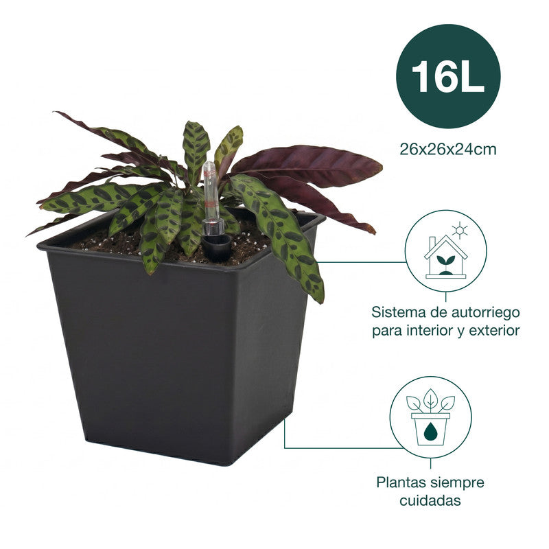 Pack De 3 Macetas Autorriego De Polipropileno Interior Y Exterior Hortalia 16 L 26x26x24 Cm_1
