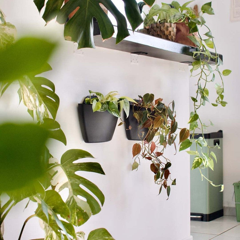 Jardín Vertical Modular Citysens Con Riego Automático De 3 Maceteros – Negro, Polipropileno 100% Reciclado_1