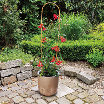 Tutor Arco Bambú 60 Cm Nortene_1