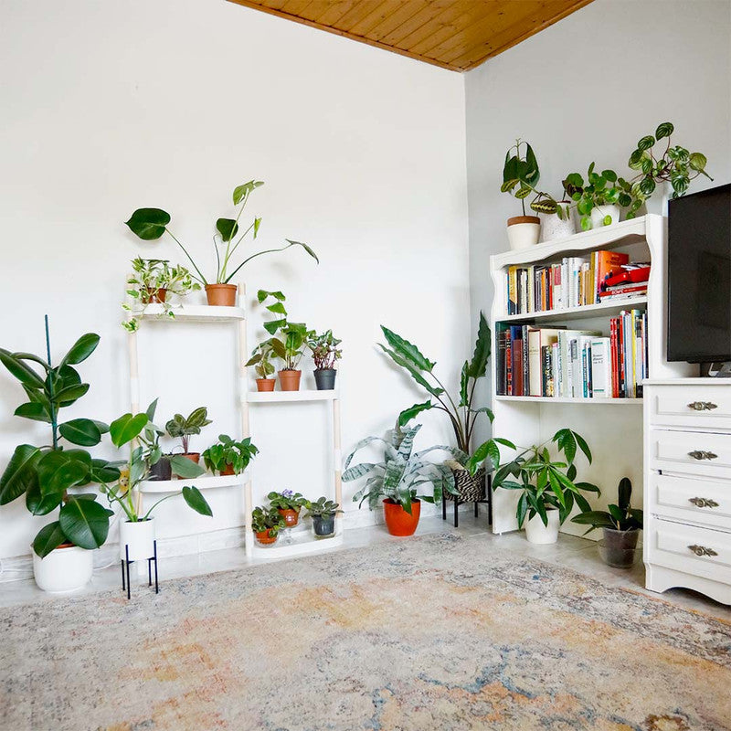 Soporte Modular Citysens De 4 Bandejas – Blanco, Polipropileno 100% Reciclado Y Madera Ecológica Pefc_3