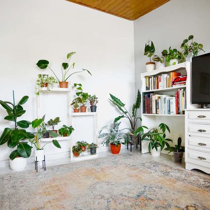 Soporte Modular Citysens De 4 Bandejas – Blanco, Polipropileno 100% Reciclado Y Madera Ecológica Pefc_3