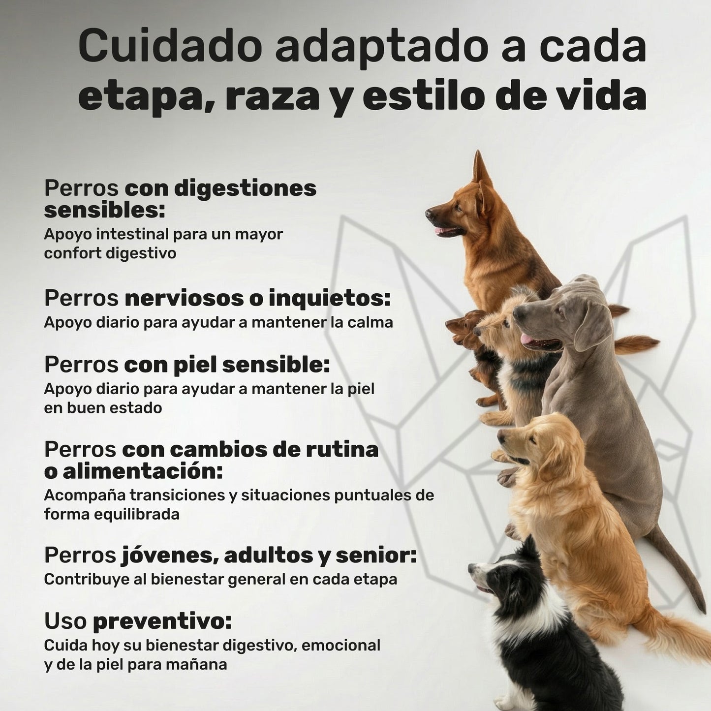 Pack Probiótico + Calmante + Aceite De Salmón Para Perros. Suplementos Mascotas. 360 Masticables. Natuva Pets_5