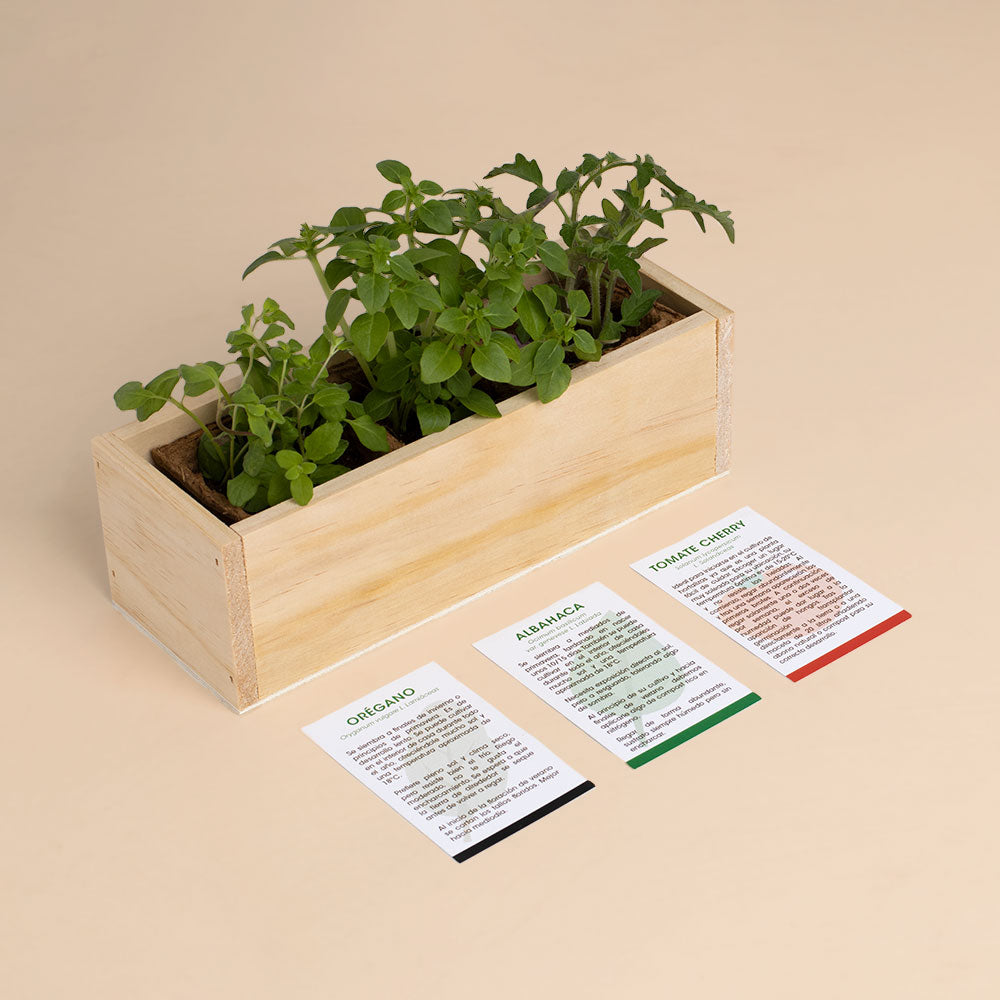 Kit Autocultivo Pizza | Cultiva Orégano, Albahaca Y Tomate Cherry En Casa | Regalo Original Para Amantes De La Cocina_2