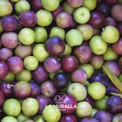 Cortijo La Muralla | Aceite De Oliva Virgen Extra | Variedad Arbequina | Botella 2 L (caja De 2)_2